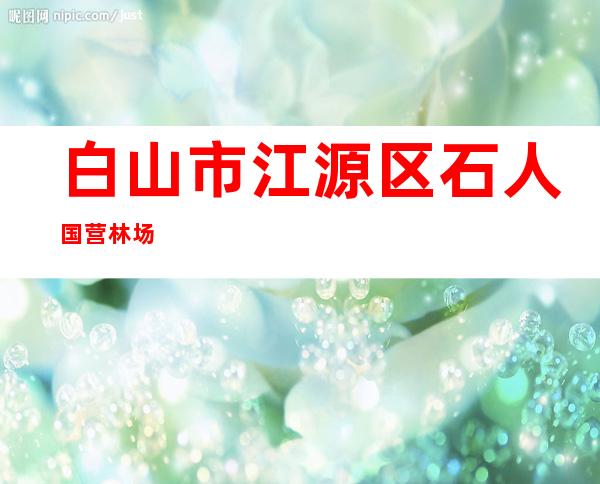 白山市江源区石人国营林场